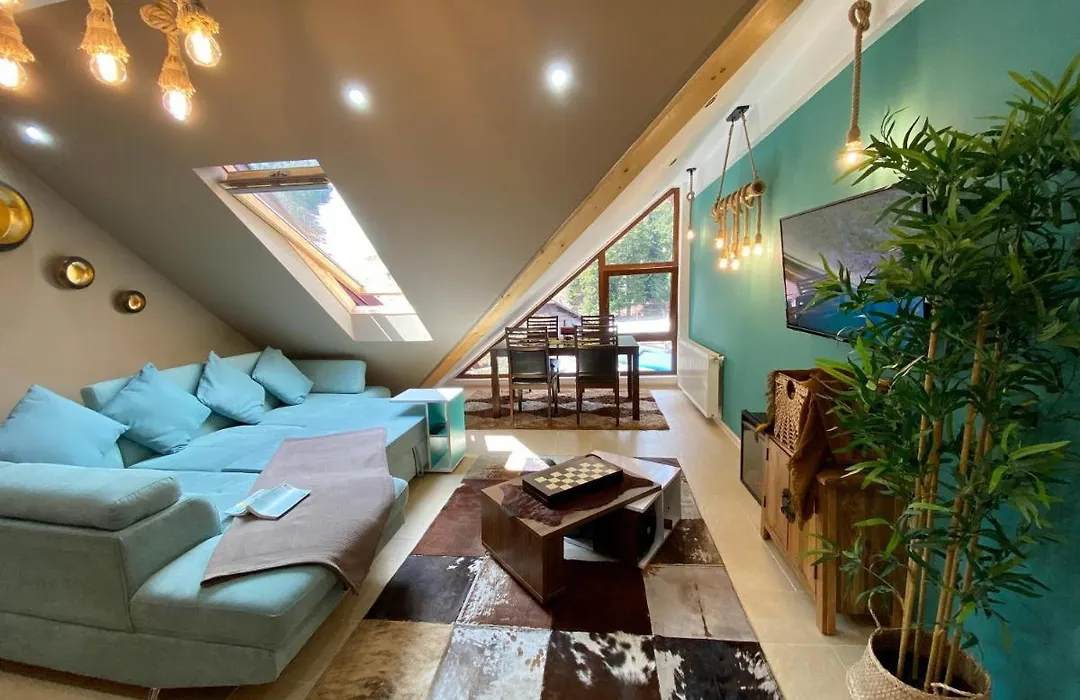 Kalinderu Ski Loft-1
