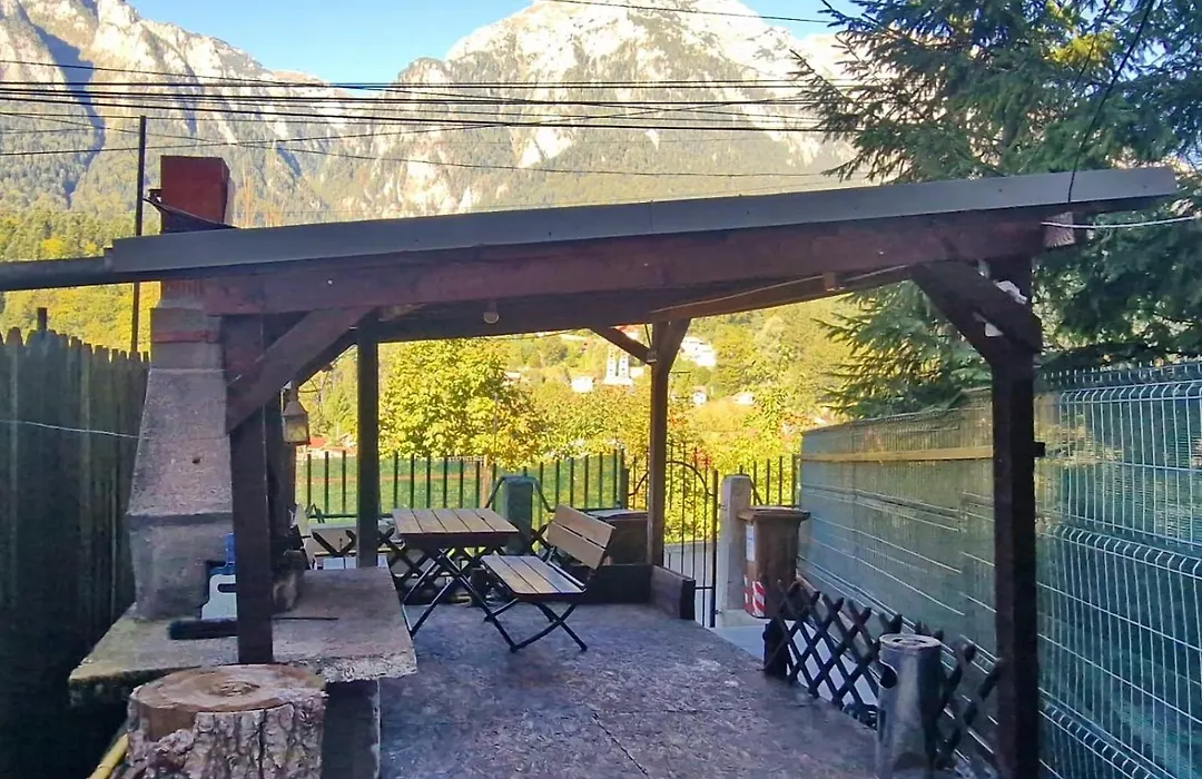 Apartament in vila langa Castelul Cantacuzino-1