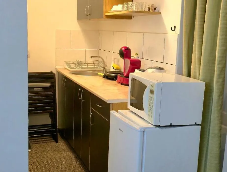 Vila Foc Alb Apartamente-Busteni-1