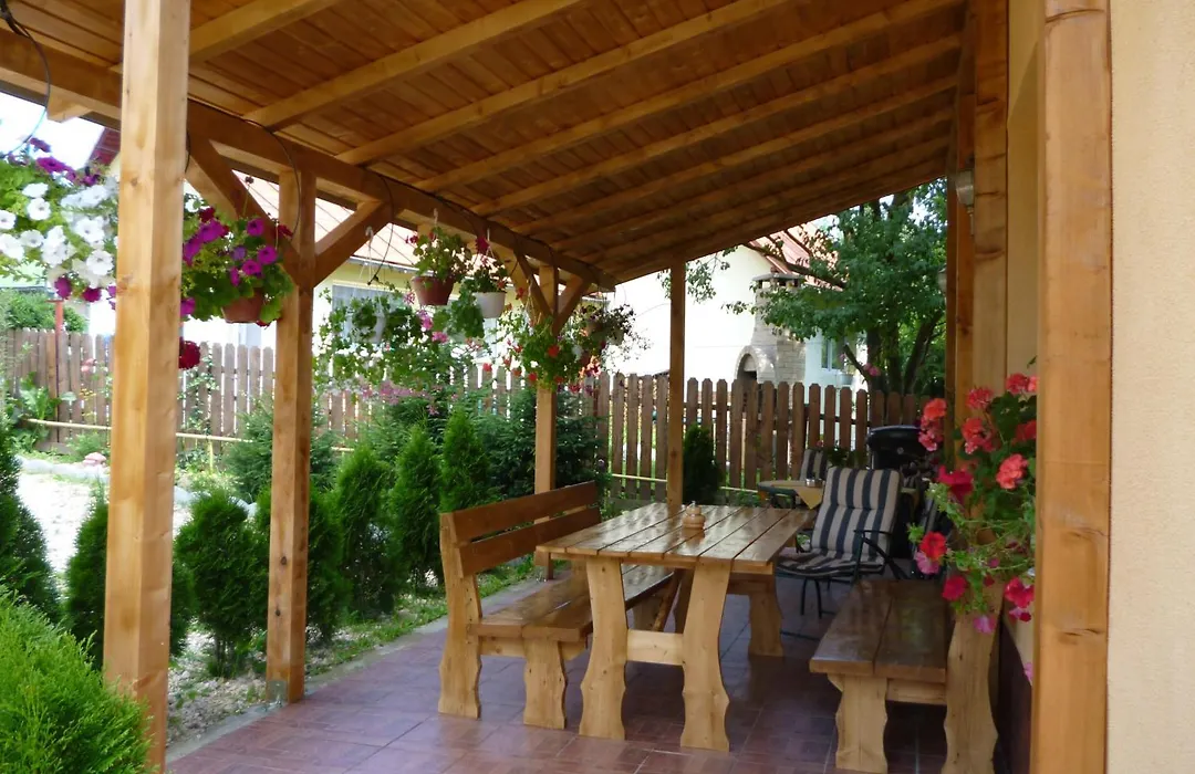 Casa Munte Busteni-1