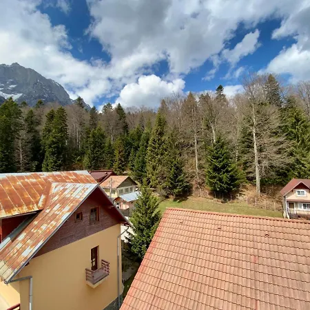 Kalinderu Ski Loft-2