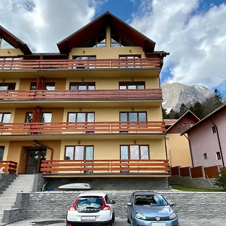 Kalinderu Ski Loft-3