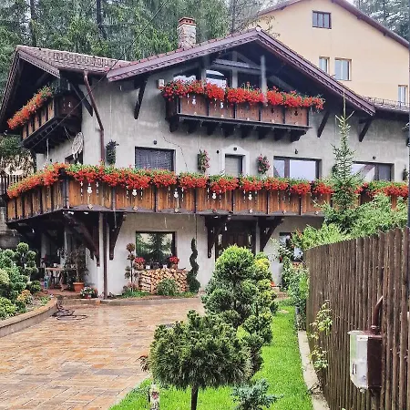 Amor Tirol Bușteni-3