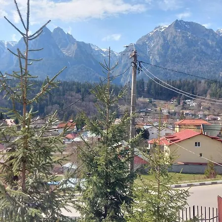 Mountain View-3