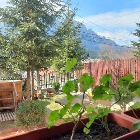 Mountain View-2