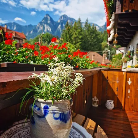 Amor Tirol Bușteni-2