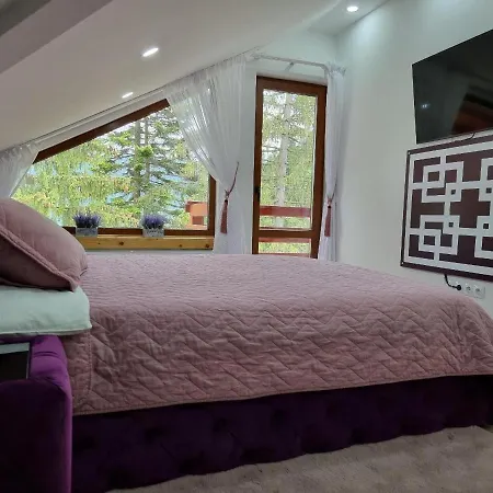 Kalinderu Luxury Ski Loft-2