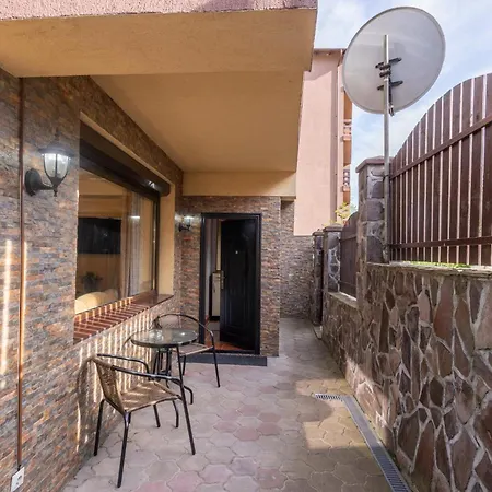 Walter Home Busteni With Private Terrace-2