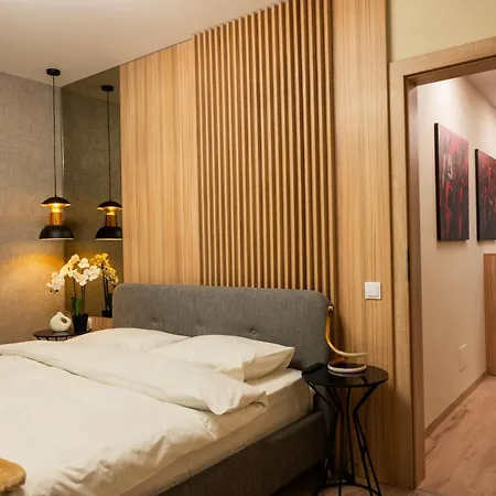 Marova Luxury Apartament Caraiman View-2