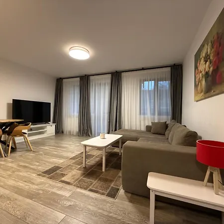 The View Apartment 3 Busteni-3