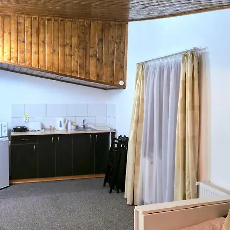Vila Foc Alb Apartamente-Busteni-2