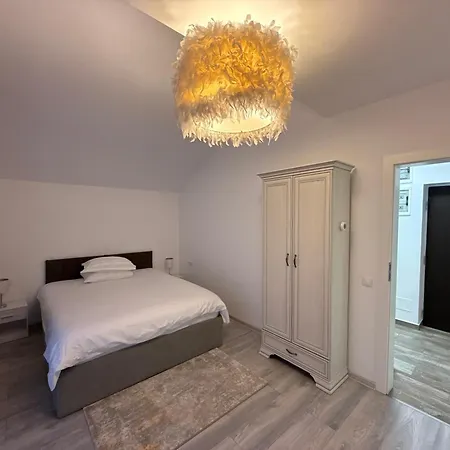 The View Apartment Busteni-2