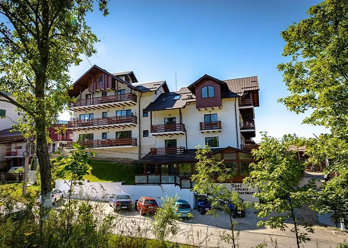 Yael Luxury Apartments 2 Buşteni