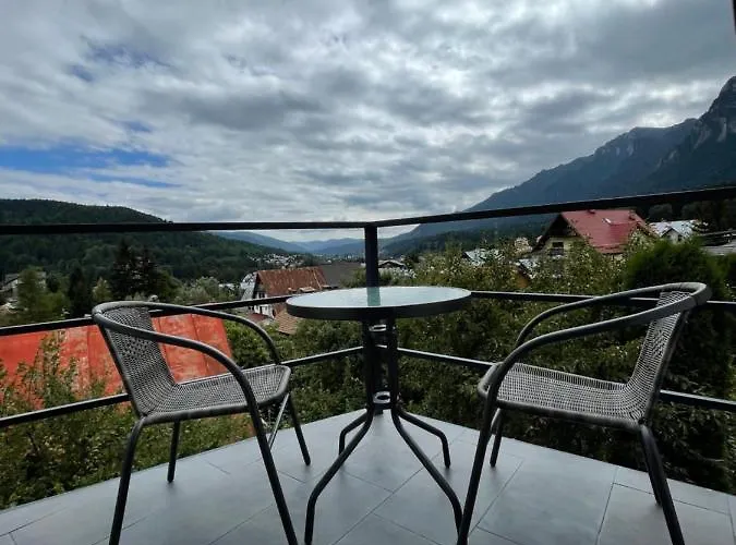 Gray Apartments Buşteni
