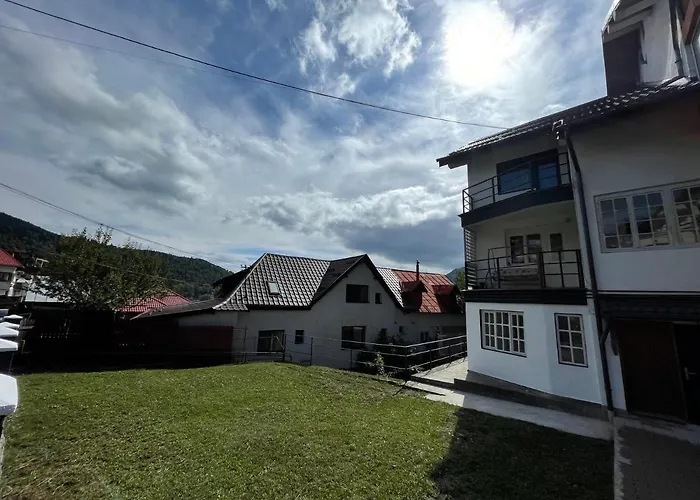 Gray Apartments Buşteni