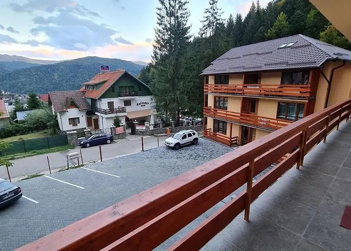 Zander Home Apartment Buşteni