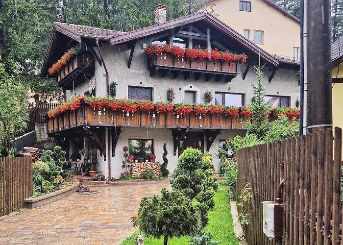 Amor Tirol Bușteni