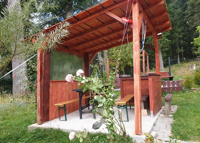 Green Forest Apartments Buşteni
