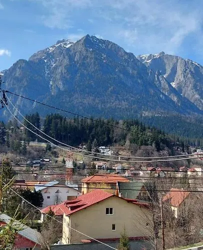 Mountain View Apartment Buşteni