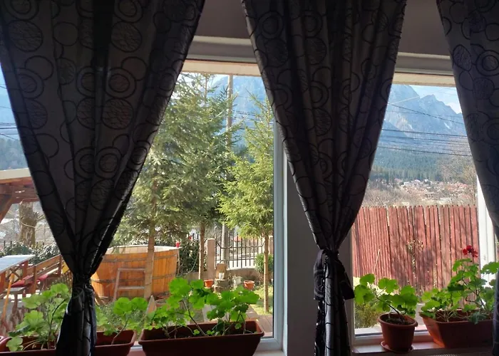 Mountain View Apartment Buşteni