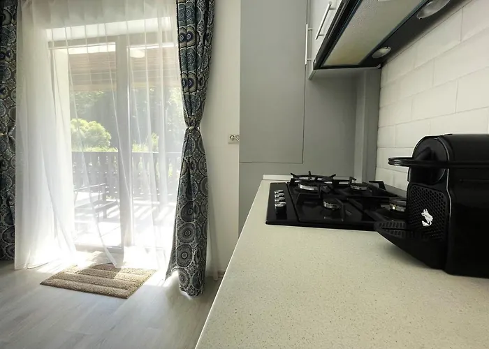 Mountain River Loft Buşteni
