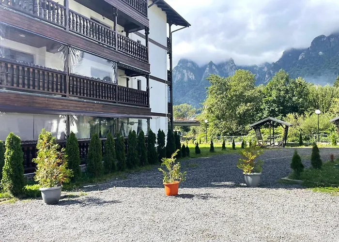 Mountain River Loft Buşteni