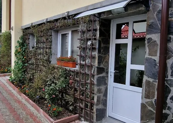 Casa Vio Apartment Buşteni