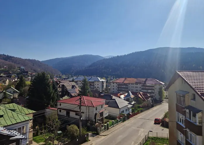 Caraimanapart Bymna Buşteni