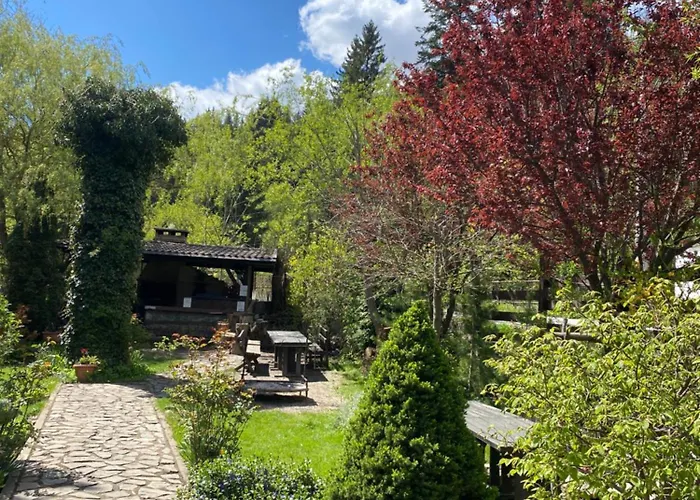Apartament Pensiunea Liziera Buşteni