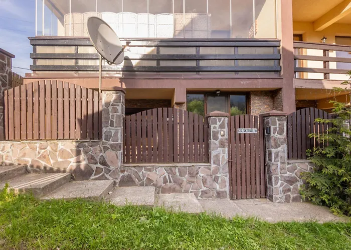 Walter Home Busteni With Private Terrace