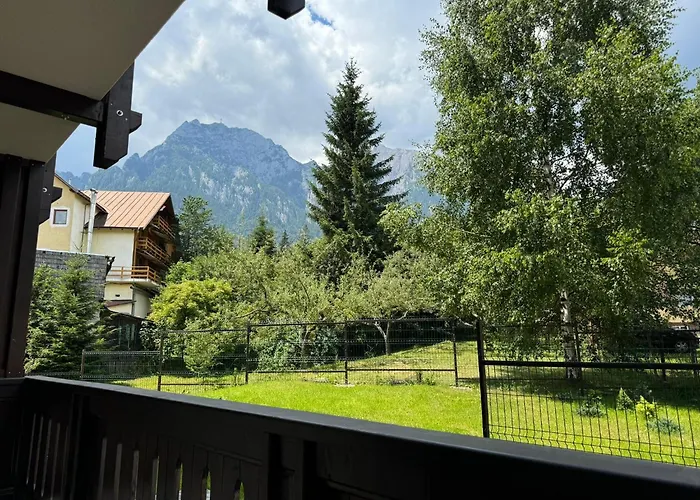 The View Apartment 3 Buşteni