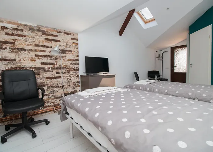 3,14 Studio Buşteni