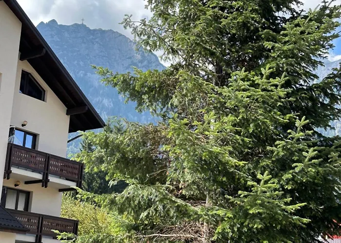 The View Studio Buşteni