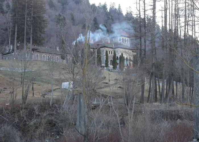 Moolys Place Buşteni