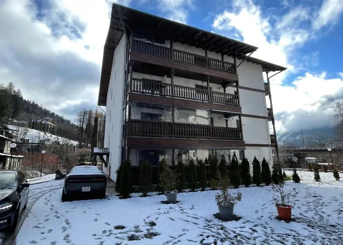 Moolys Place Buşteni