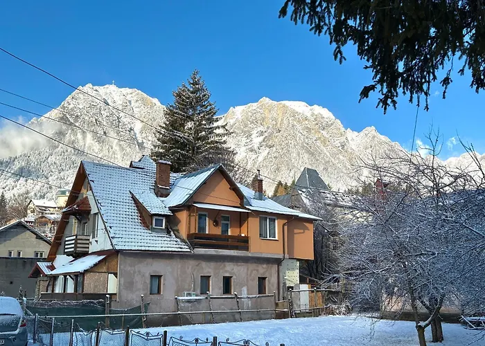 Casa Olivia Apartment Buşteni