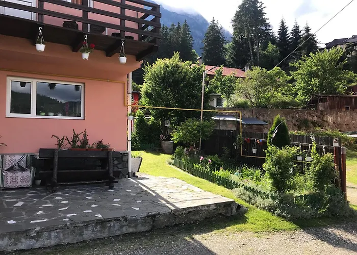 Apartament Floare de Colț Buşteni