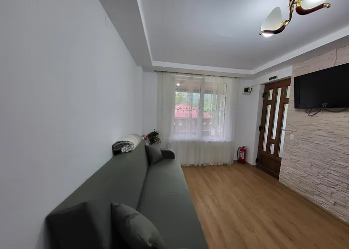 Casa Roxi Apartment Buşteni