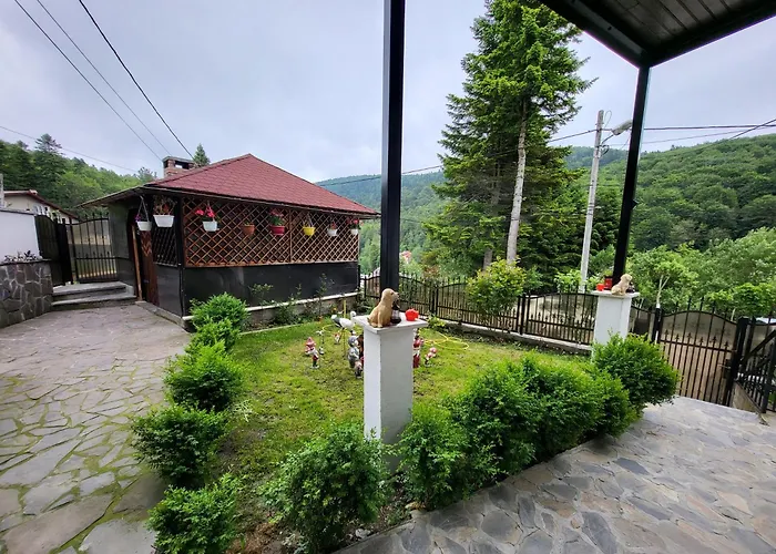 Casa Roxi Apartment Buşteni