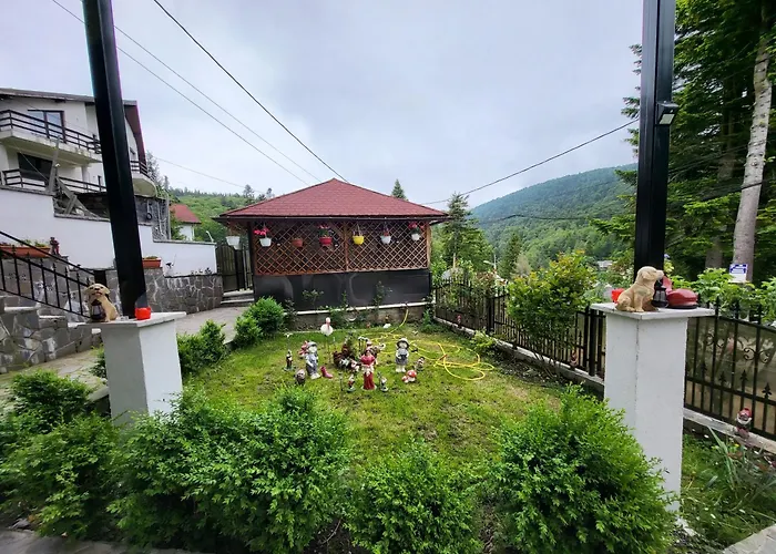 Casa Roxi Apartment Buşteni