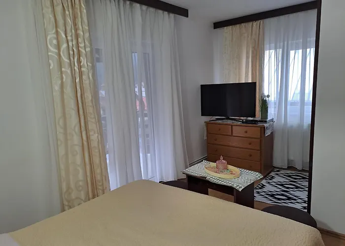 Casa Teomar Apartment Buşteni