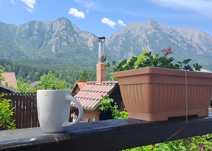 Casa Teomar Apartment Buşteni