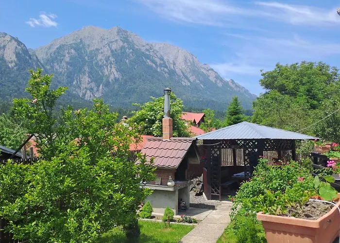 Casa Teomar Apartment Buşteni