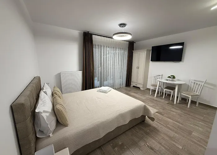 The View Studio Buşteni