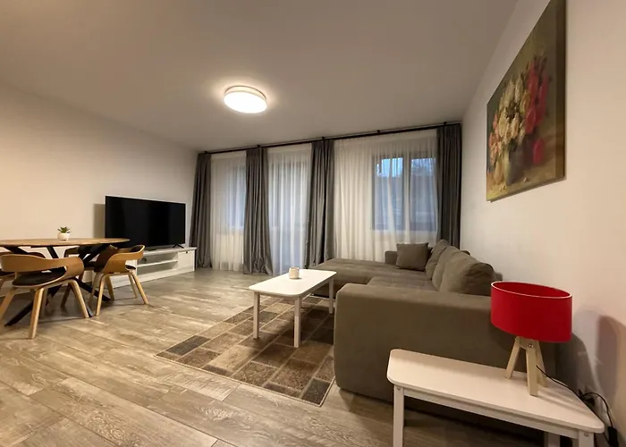 The View Apartment 3 Buşteni