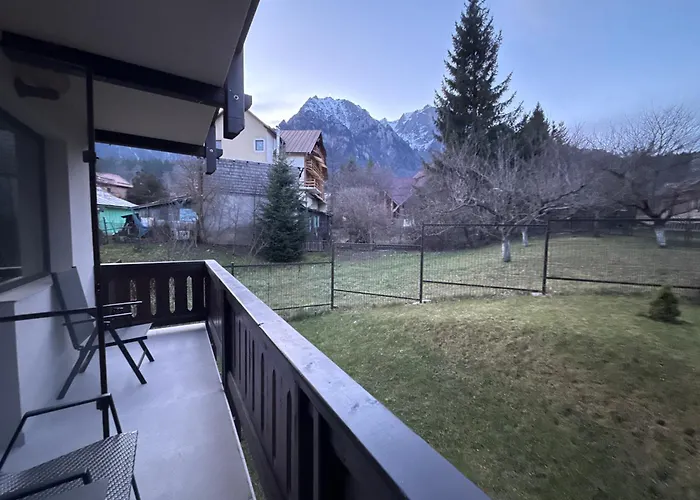 The View Apartment 3 Buşteni