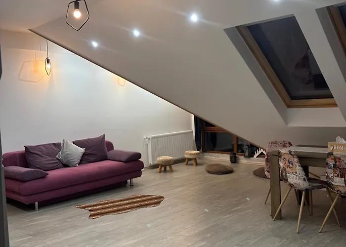 Apartament Andy Busteni 30 M De Partie