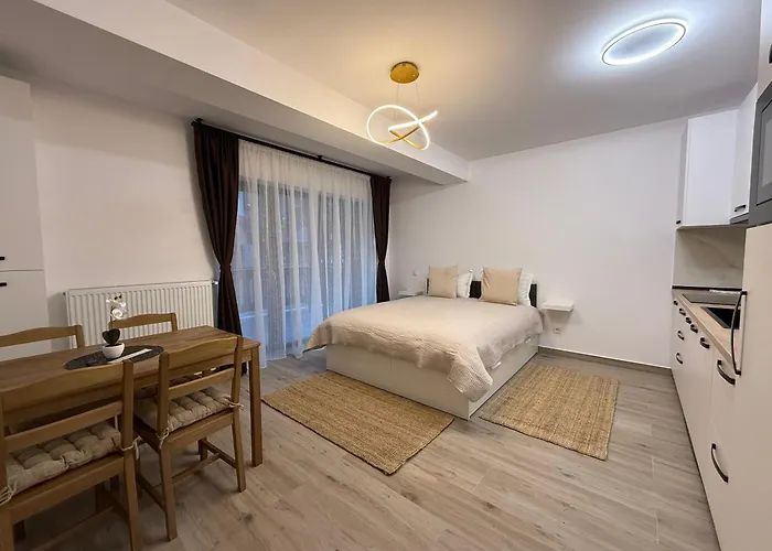 The View Studio 2 Buşteni