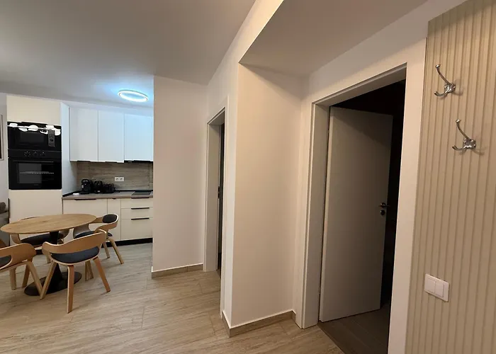 The View Apartment 2 Buşteni